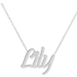 Meet your Posher, Lily